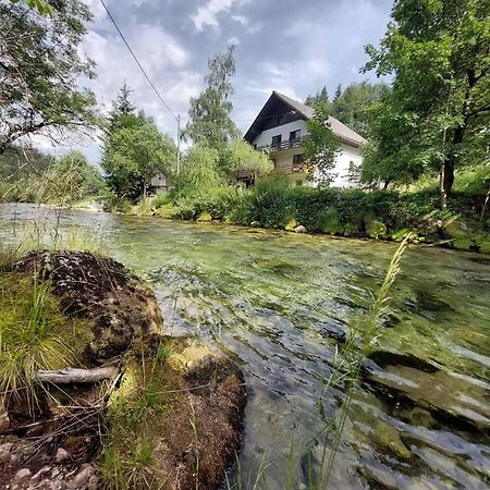 The Riverside Chill Hostel Блед Экстерьер фото