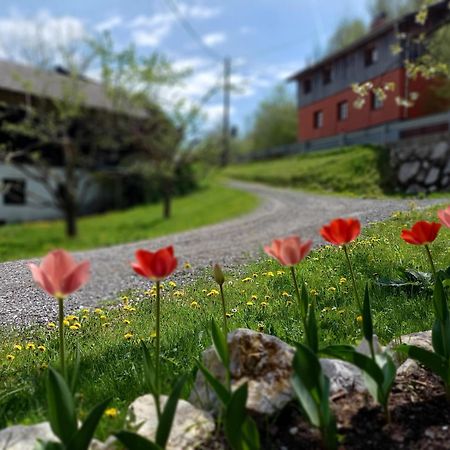 The Riverside Chill Hostel Блед Экстерьер фото