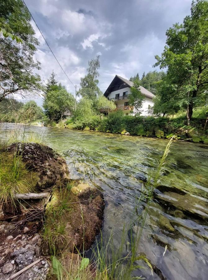 The Riverside Chill Hostel Блед Экстерьер фото
