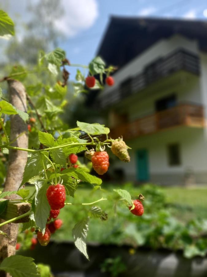 The Riverside Chill Hostel Блед Экстерьер фото
