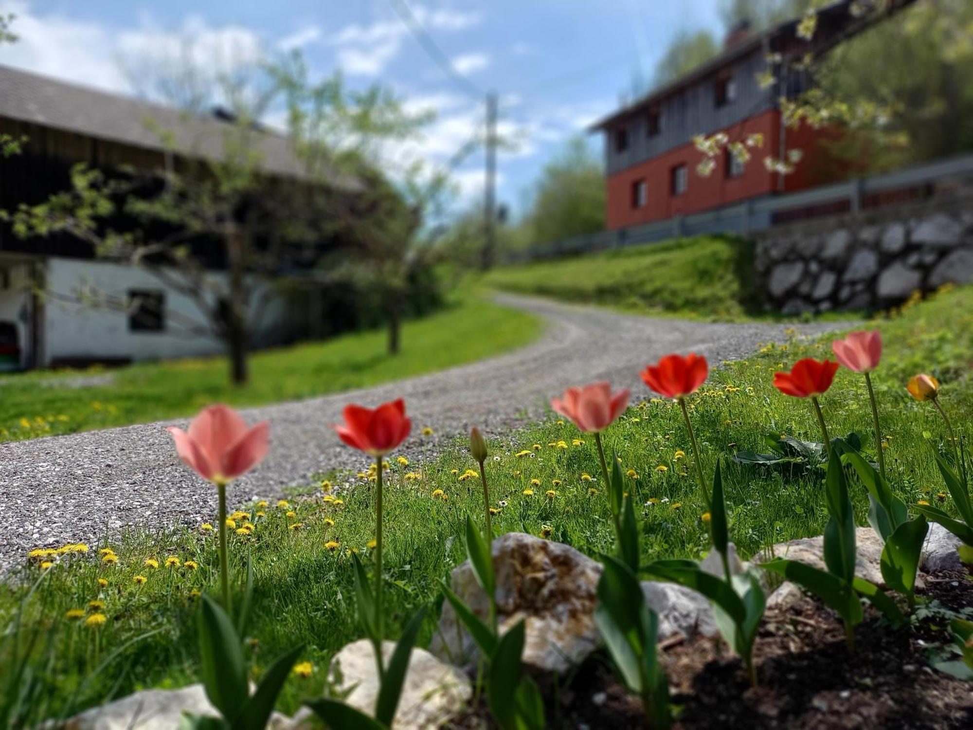 The Riverside Chill Hostel Блед Экстерьер фото
